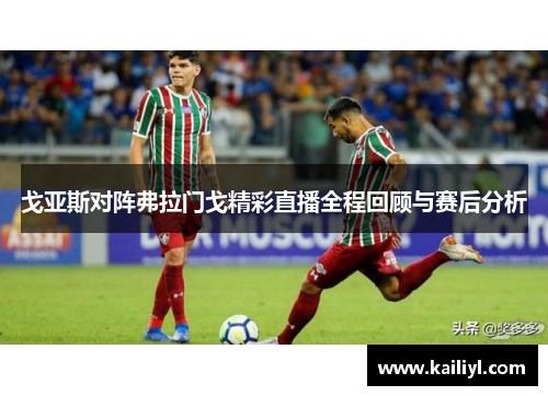 戈亚斯对阵弗拉门戈精彩直播全程回顾与赛后分析